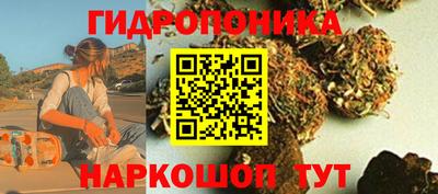 прущие крисы Кинель