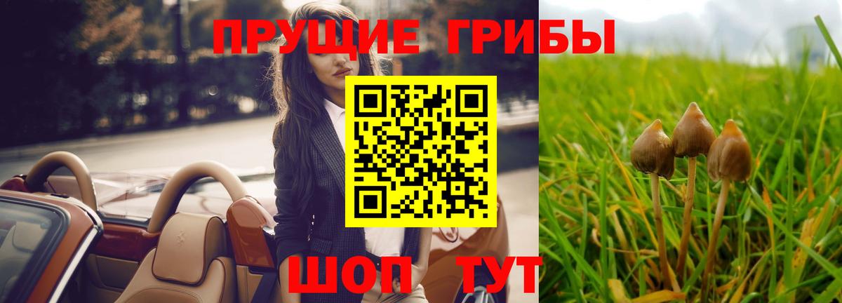 Благовещенск  Галлюциногенные грибы Cubensis  Вход с VPN 